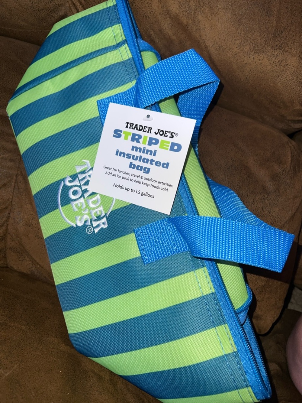 Trader Joe's Blue & Green Striped Insulated Mini Bag